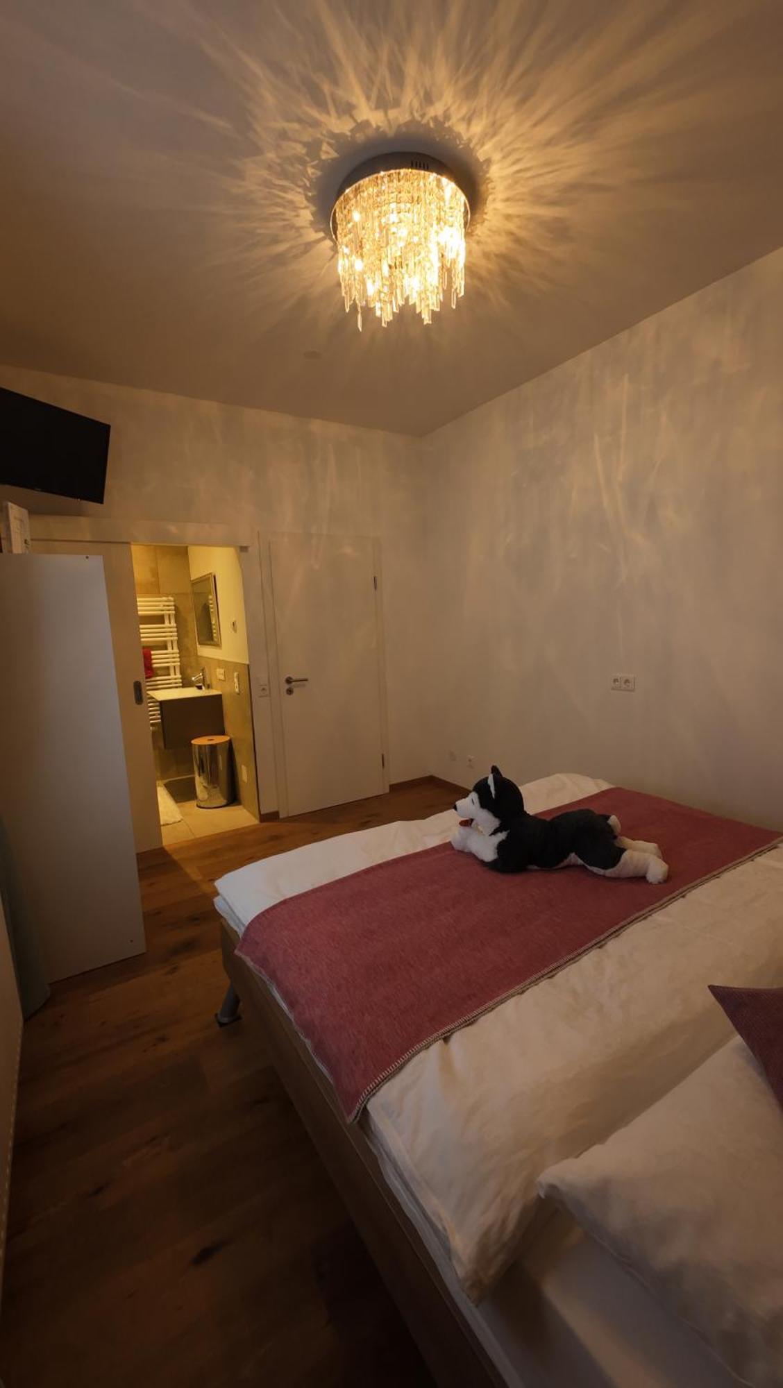 Penthouse Julia Naehe Badesee Mit Infrarotsauna -Zell Am See Kaprun Niedernsill Luaran gambar
